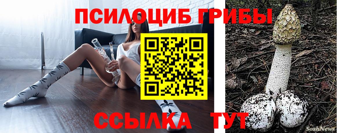 Галлюциногенные грибы GOLDEN TEACHER Кемерово