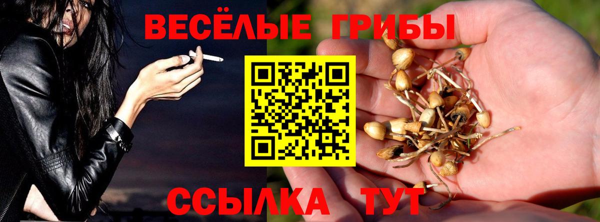 Кемерово  Галлюциногенные грибы мухоморы  где найти   Галлюциногенные грибы прущие грибы  Вход с VPN 